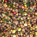 The 72B Food Waste Scandal
