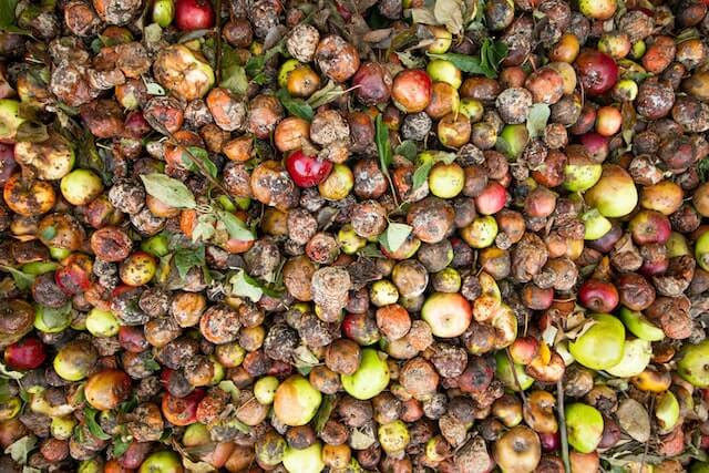The 72B Food Waste Scandal